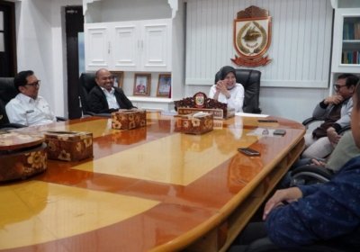 Wakil Wali Kota Makassar, Aliyah Mustika Ilham